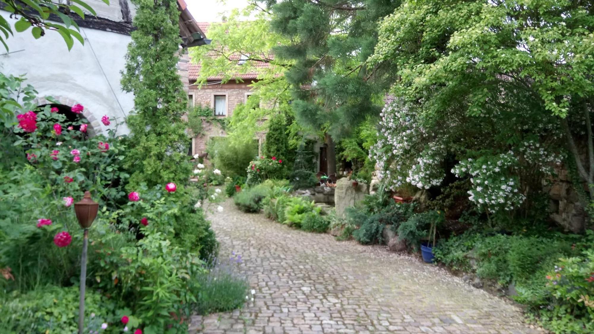 Appartamento "El Patio" Am Donnersberg Dannenfels Esterno foto