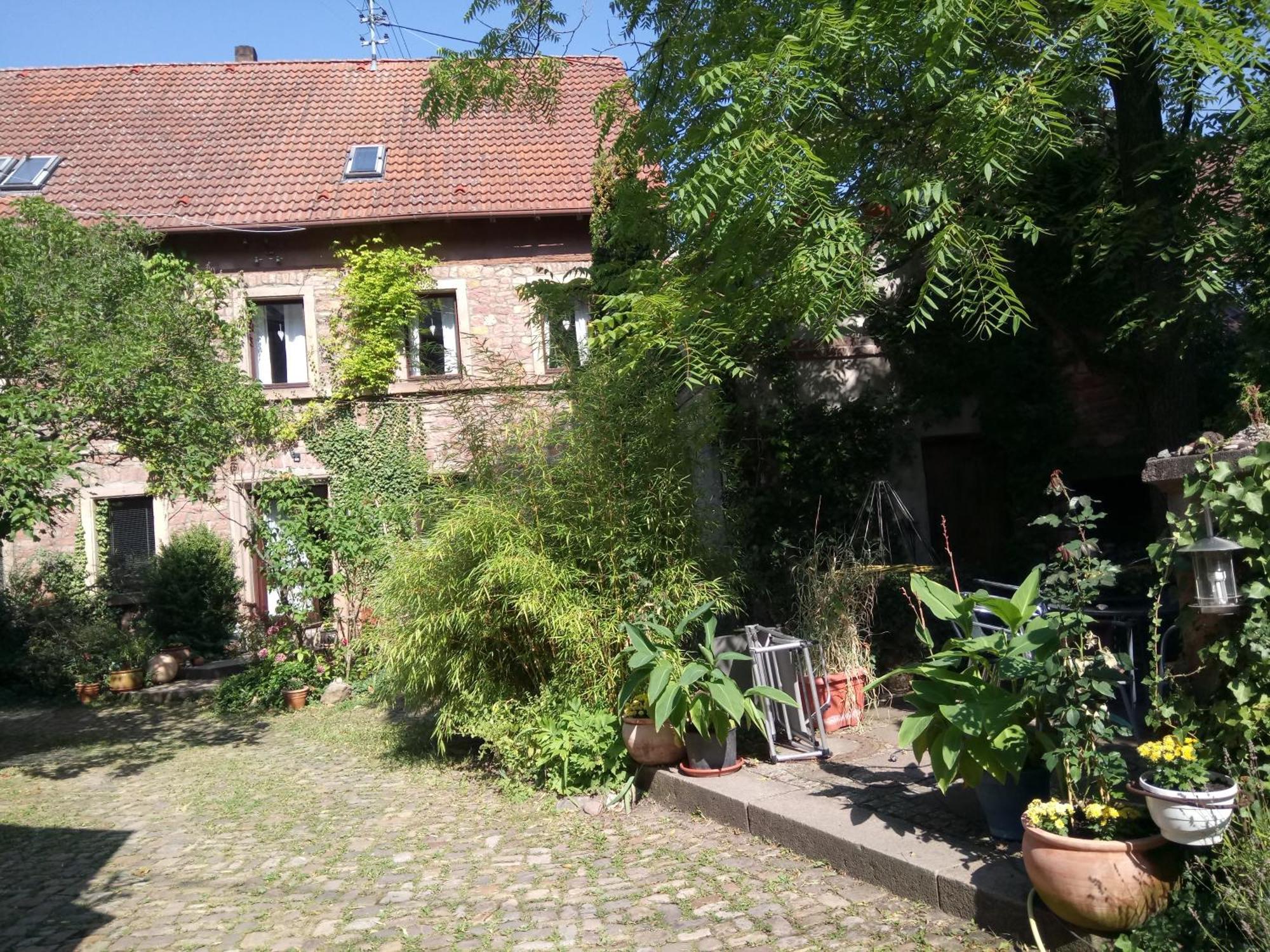 Appartamento "El Patio" Am Donnersberg Dannenfels Esterno foto