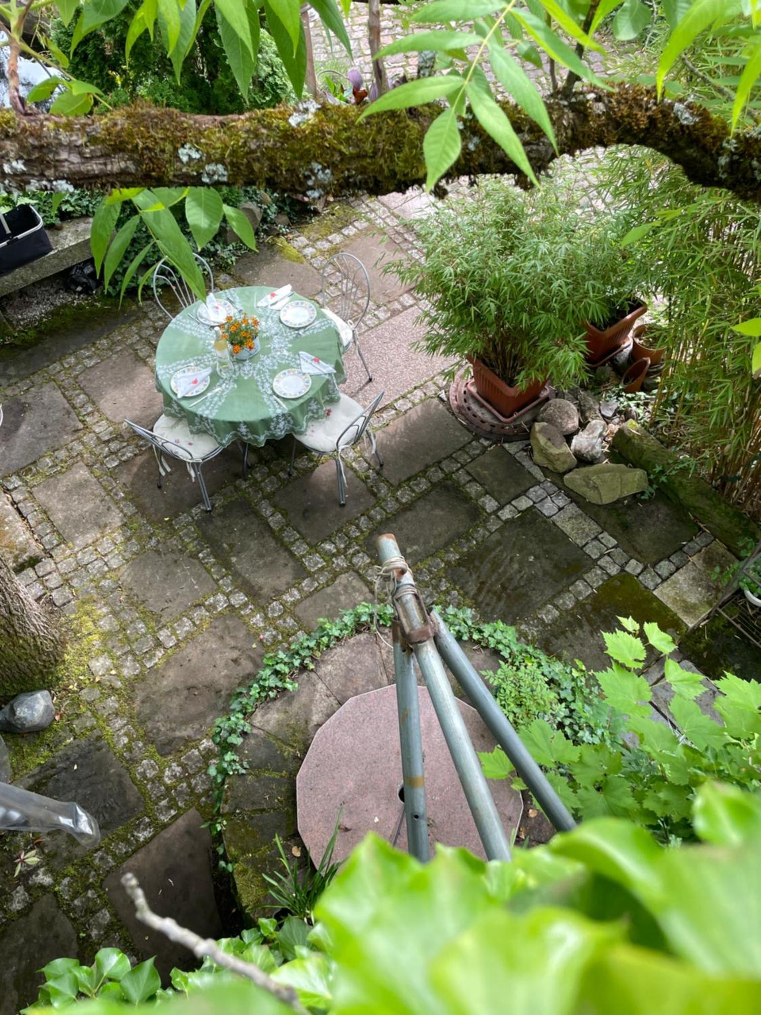 Appartamento "El Patio" Am Donnersberg Dannenfels Esterno foto