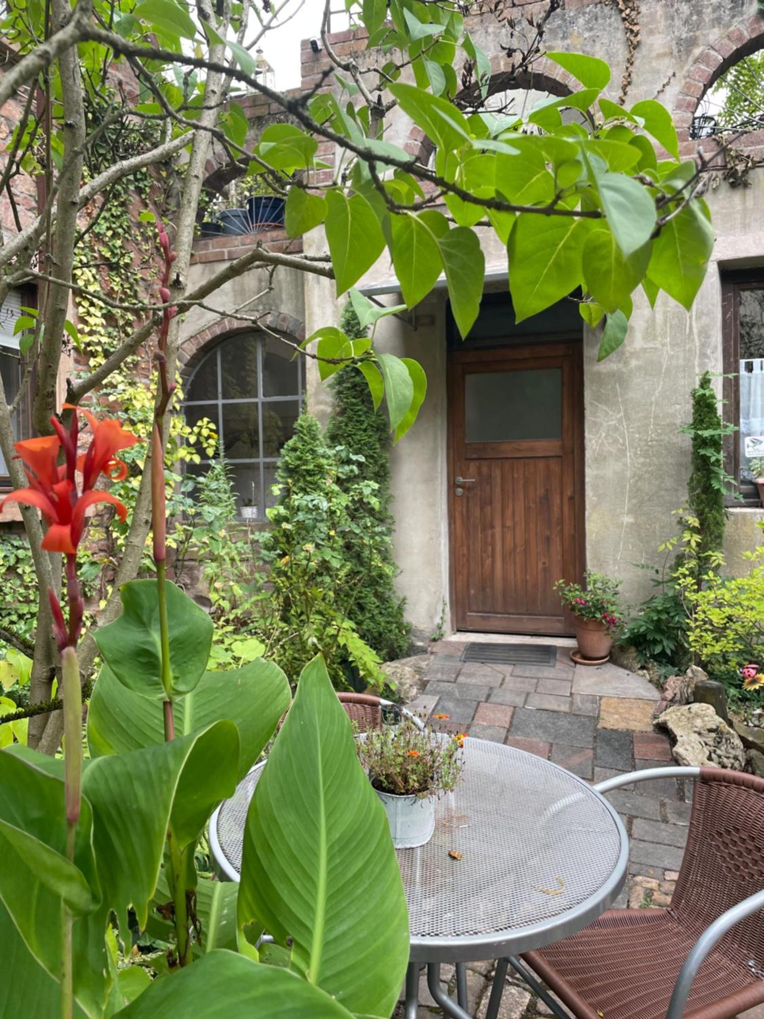 Appartamento "El Patio" Am Donnersberg Dannenfels Esterno foto